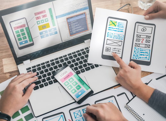 vector image of a website developer